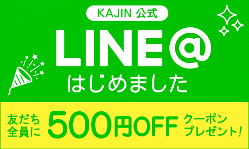 KAJINLINE@Fǉ500~N[|