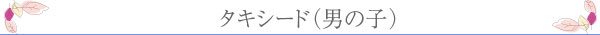 tH[}hXi̎q7΁j