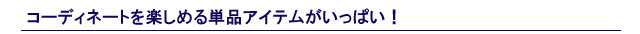 �A�C�r�[�u���U�[�Y